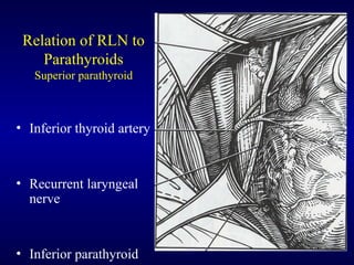 Types and technique of Thyroidectomy lecture.ppt