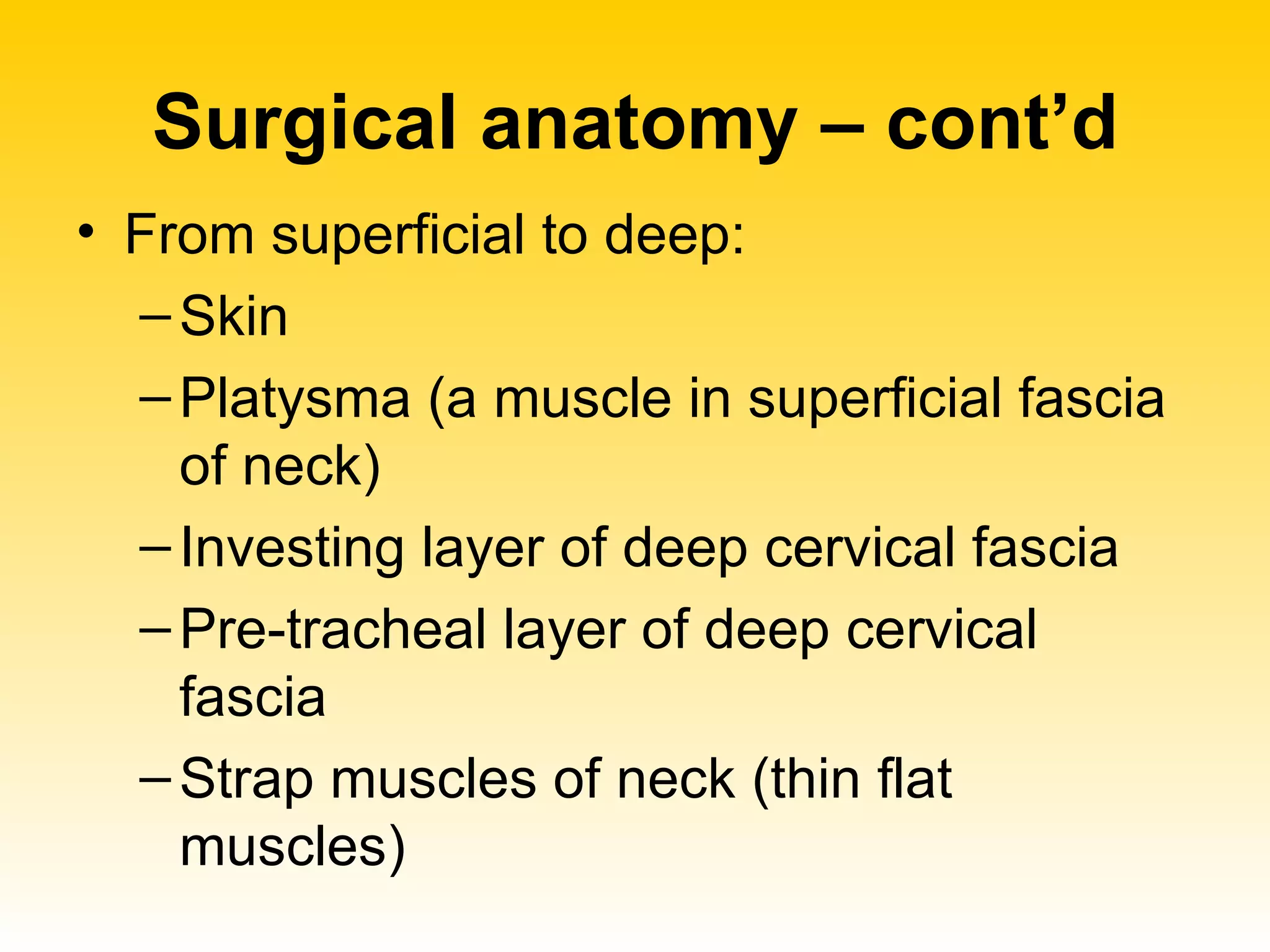 Surgical anatomy – cont’d From superficial to deep: Skin Platysma (a muscle in superficial fascia of neck) Investing layer of deep cervical fascia Pre-tracheal layer of deep cervical fascia Strap muscles of neck (thin flat muscles) 