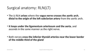 Left Rln Path Comprehensive Surgical Endocrinology: Thyroidectomy Indications ...
