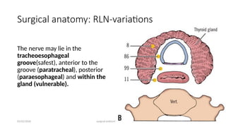 Comprehensive Surgical Endocrinology: Thyroidectomy Indications ...