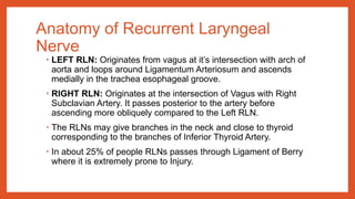 Left Rln Path THYROID – EMBRYOLOGY and ANATOMY final.pptx