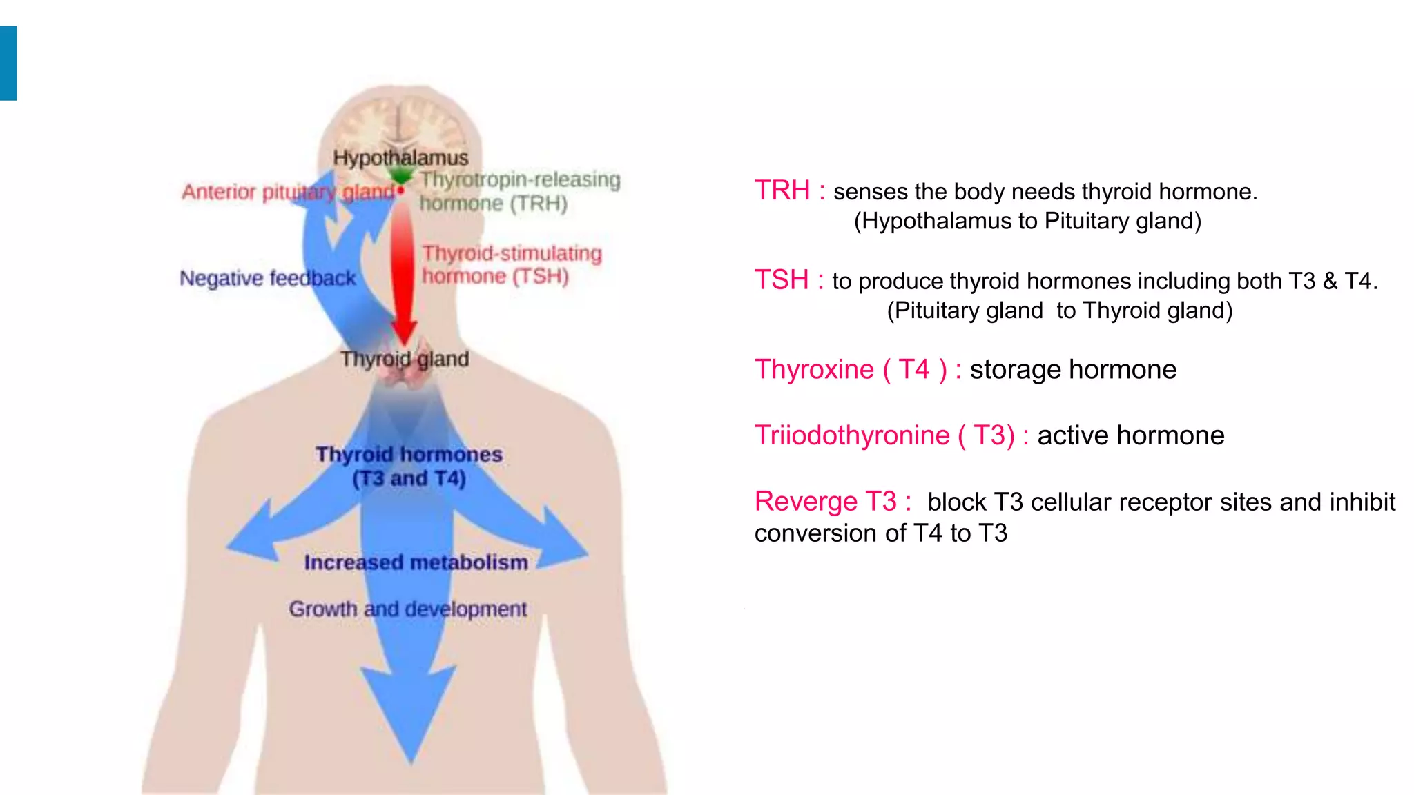 Thyroid eye disease evaluation and management | PPT