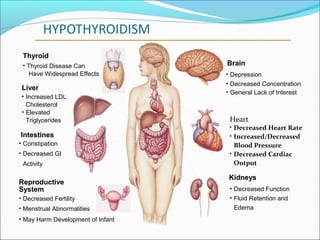 Thyroid
 • Thyroid Disease Can             Brain
   Have Widespread Effects         • Depression
                                   • Decreased Concentration
 Liver
                                   • General Lack of Interest
 • Increased LDL
   Cholesterol
 • Elevated
   Triglycerides                    Heart
                                    • Decreased Heart Rate
Intestines                          • Increased/Decreased
• Constipation                        Blood Pressure
• Decreased GI                      • Decreased Cardiac
 Activity                             Output

                                    Kidneys
Reproductive
System                              • Decreased Function
• Decreased Fertility               • Fluid Retention and
• Menstrual Abnormalities            Edema
• May Harm Development of Infant
 