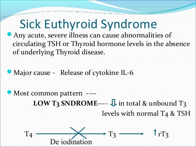 euthyroid sick syndrome treatment euthyroid sick syndrome treatment
