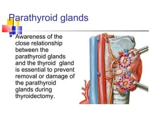 Thyroid final [part 1] | PPT