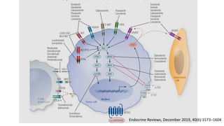 Targeted Therapies in Thyroid Cancer ppt.pptx