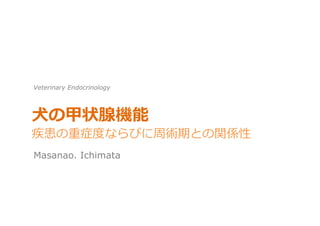 Masanao. Ichimata
Veterinary Endocrinology
⽝犬の甲状腺機能
疾患の重症度度ならびに周術期との関係性  
 