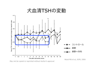 犬血清TSHの変動
Wood MA et al, JVIM, 2009
コントロール
麻酔
麻酔＋外科
May not be copied or reprinted without Author’s approval
 