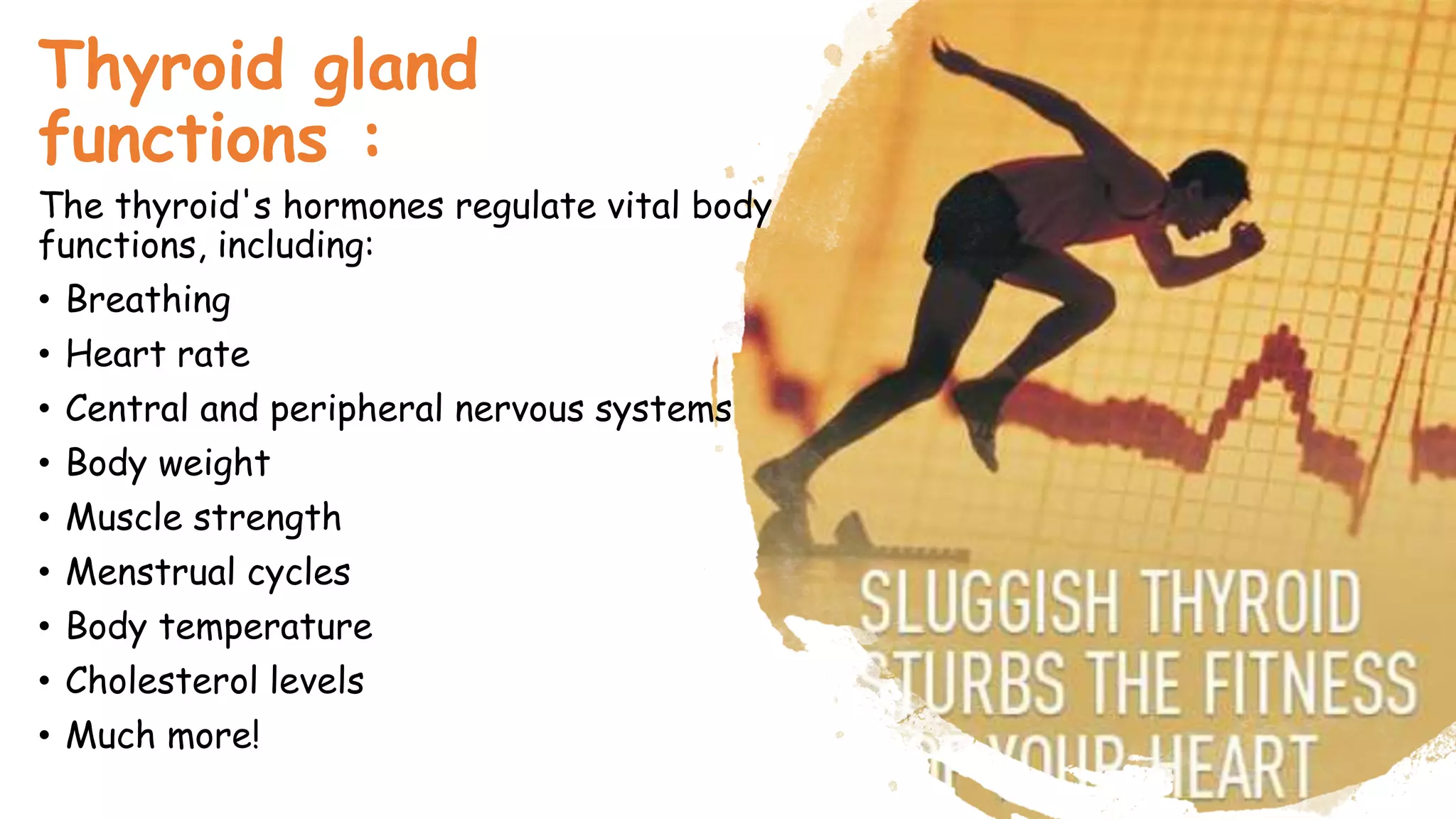 Thyroid gland
functions :
The thyroid's hormones regulate vital body
functions, including:
• Breathing
• Heart rate
• Central and peripheral nervous systems
• Body weight
• Muscle strength
• Menstrual cycles
• Body temperature
• Cholesterol levels
• Much more!
 