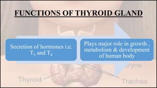 Thyroid function test | PPT
