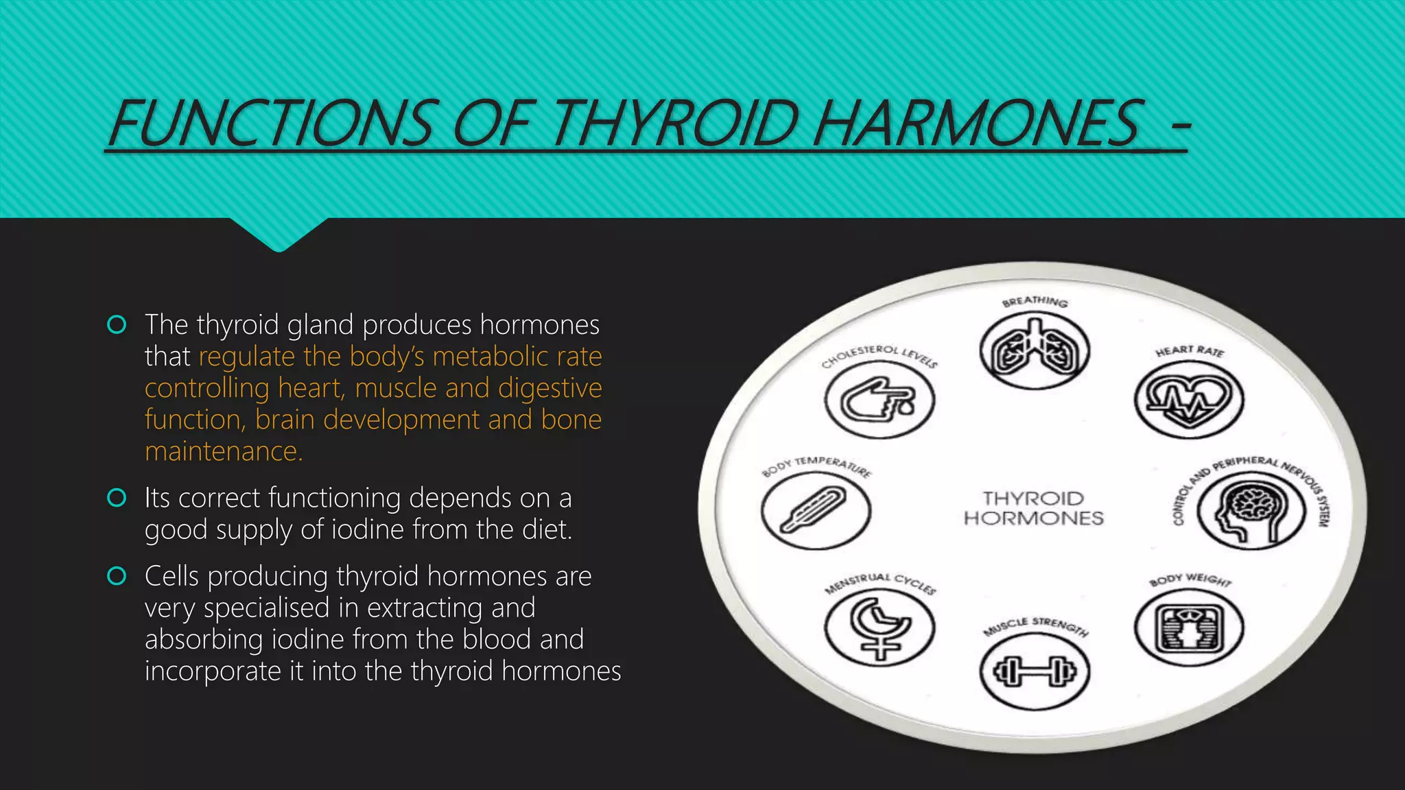 Thyroid function test by shaista sumayya, S.P. Srinivas nayak