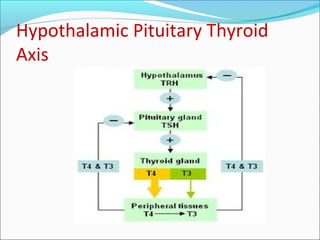Hypothalamic Pituitary Thyroid
Axis
 