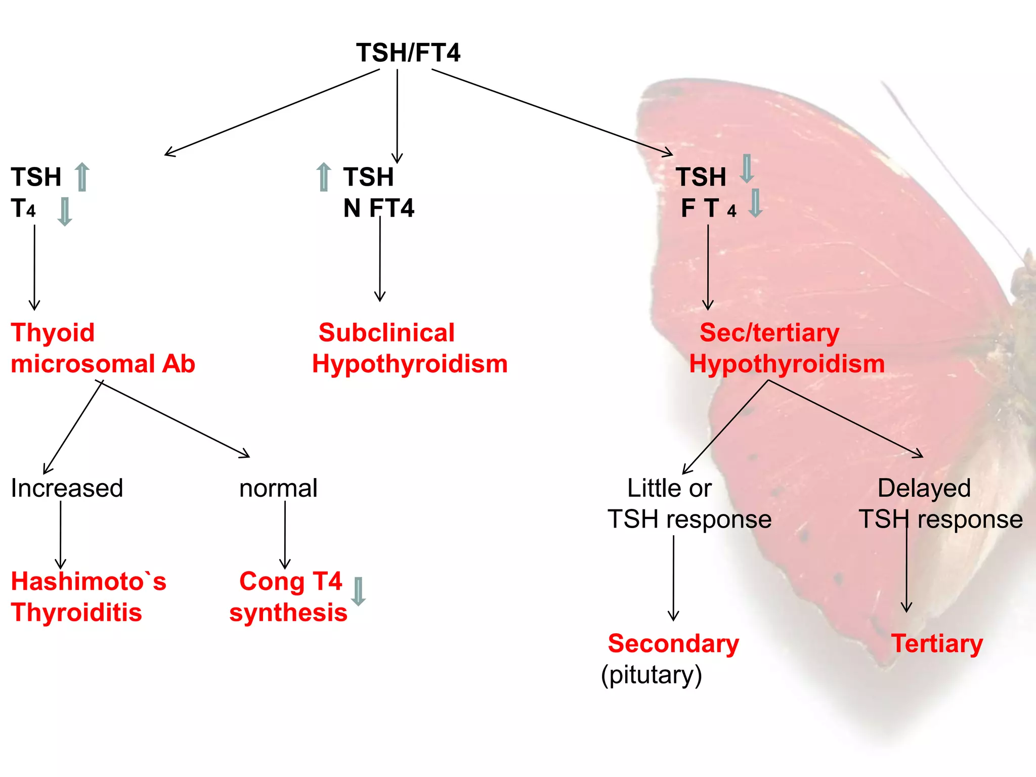 Thyroid function tests | PPTX