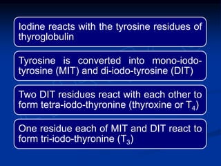Iodine reacts with the tyrosine residues of
thyroglobulin
Tyrosine is converted into mono-iodo-
tyrosine (MIT) and di-iodo-tyrosine (DIT)
Two DIT residues react with each other to
form tetra-iodo-thyronine (thyroxine or T4)
One residue each of MIT and DIT react to
form tri-iodo-thyronine (T3)
 