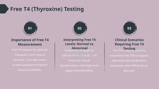 T4 Testing Thyroid Function Tests and Imaging_ Diagnostic Strategies and Clinical ...