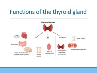 thyroid function test seminar.pptx