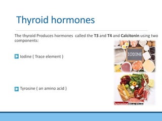 thyroid function test seminar.pptx