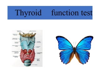 Thyroid Function Test Thyroid Hormones Pptx
