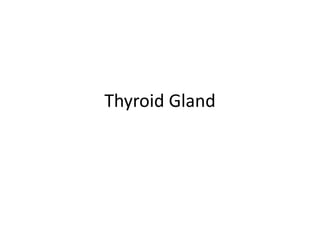 Thyroid Gland
 