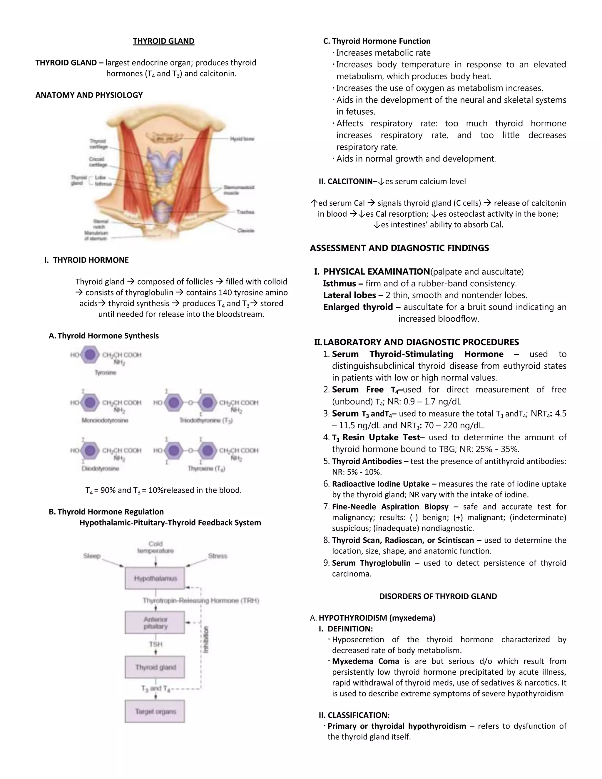 Thyroid Gland Disorders | DOCX | Thyroid Disorders | Endocrine and ...