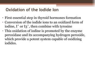Oxidation of the Iodide Ion
• First essential step in thyroid hormones formation
• Conversion of the iodide ions to an oxidized form of
iodine, I˚ or I3ˉ, then combine with tyrosine
• This oxidation of iodine is promoted by the enzyme
peroxidase and its accompanying hydrogen peroxide,
which provide a potent system capable of oxidizing
iodides.
 