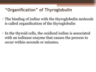 “Organiﬁcation” of Thyroglobulin
• The binding of iodine with the thyroglobulin molecule
is called organiﬁcation of the thyroglobulin
• In the thyroid cells, the oxidized iodine is associated
with an iodinase enzyme that causes the process to
occur within seconds or minutes.
 