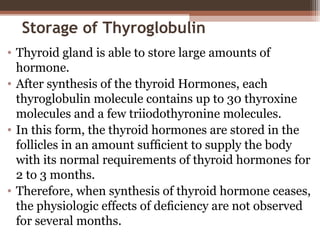 Storage of Thyroglobulin
• Thyroid gland is able to store large amounts of
hormone.
• After synthesis of the thyroid Hormones, each
thyroglobulin molecule contains up to 30 thyroxine
molecules and a few triiodothyronine molecules.
• In this form, the thyroid hormones are stored in the
follicles in an amount sufﬁcient to supply the body
with its normal requirements of thyroid hormones for
2 to 3 months.
• Therefore, when synthesis of thyroid hormone ceases,
the physiologic effects of deﬁciency are not observed
for several months.
 
