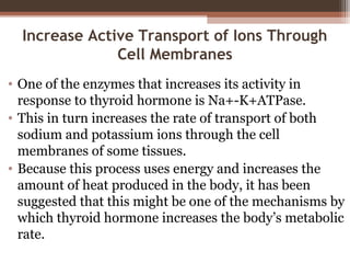 Increase Active Transport of Ions Through
Cell Membranes
• One of the enzymes that increases its activity in
response to thyroid hormone is Na+-K+ATPase.
• This in turn increases the rate of transport of both
sodium and potassium ions through the cell
membranes of some tissues.
• Because this process uses energy and increases the
amount of heat produced in the body, it has been
suggested that this might be one of the mechanisms by
which thyroid hormone increases the body’s metabolic
rate.
 