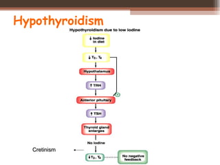 Hypothyroidism
CretinismCretinism
 