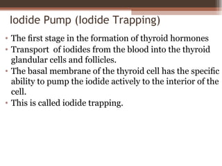 Iodide Pump (Iodide Trapping)
• The ﬁrst stage in the formation of thyroid hormones
• Transport of iodides from the blood into the thyroid
glandular cells and follicles.
• The basal membrane of the thyroid cell has the speciﬁc
ability to pump the iodide actively to the interior of the
cell.
• This is called iodide trapping.
 