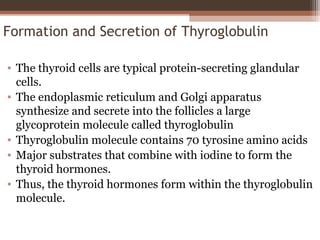Formation and Secretion of Thyroglobulin
• The thyroid cells are typical protein-secreting glandular
cells.
• The endoplasmic reticulum and Golgi apparatus
synthesize and secrete into the follicles a large
glycoprotein molecule called thyroglobulin
• Thyroglobulin molecule contains 70 tyrosine amino acids
• Major substrates that combine with iodine to form the
thyroid hormones.
• Thus, the thyroid hormones form within the thyroglobulin
molecule.
 
