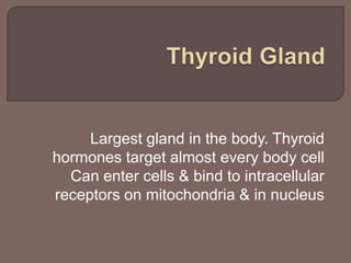 Largest gland in the body. Thyroid
hormones target almost every body cell
Can enter cells & bind to intracellular
receptors on mitochondria & in nucleus
 