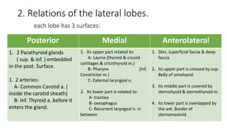 2. Relations of the lateral lobes.
each lobe has 3 surfaces:
Posterior Medial Anterolateral
1. 2 Parathyroid glands
( sup. & inf. ) embedded
in the post. Surface.
1. 2 arteries:
A- Common Carotid a. (
inside the carotid sheath)
B- Inf. Thyroid a. before it
enters the gland.
1. Its upper part related to:
A- Layrnx (thyroid & cricoid
cartilages & cricothyroid m.)
B- Pharynx (Inf.
Constrictor m.)
C- External laryngeal n.
2. Its lower part is related to:
A- trachea
B- oesophagus
C- Recurrent laryngeal n. in
between
1. Skin, superficial fascia & deep
fascia.
2. Its upper part is crossed by sup.
Belly of omohyoid.
3. Its middle part is covered by
sternohyoid & sternothyroid m.
4. Its lower part is overlapped by
the ant. Border of
sternomastoid.
 