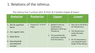 1. Relations of the isthmus.
The isthmus has 2 surfaces (Ant. & Post.) & 2 borders (Upper & lower)
Anterior Posterior Upper Lower
1. Skin & superficial
fascia.
2. Ant. Jugular veins.
3. Deep fascia.
4. Sternohyoid &
sternothyroid
muscles.
1. Trachea (2nd, 3rd & 4th
rings)
1. Related to the sup.
Anastomotic a.
(between rt & lft sup.
Thyroid aa)
2. The pyramidal lobe
may project upwards
from the isthmus.
1. Give rise to the Rt & Lt
Inf. Thyroid veins.
2. The thyroid ima a.
enters the lower
border.
3. An Inf. Anasomotic a.
runs along the lower
border of the isthmus.
 