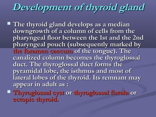 Development of thyroid glandDevelopment of thyroid gland
 The thyroid gland develops as a medianThe thyroid gland develops as a median
downgrowth of a column of cells from thedowngrowth of a column of cells from the
pharyngeal floor between the 1st and the 2ndpharyngeal floor between the 1st and the 2nd
pharyngeal pouch (subsequently marked bypharyngeal pouch (subsequently marked by
thethe foramen caecumforamen caecum of the tongue). Theof the tongue). The
canalized column becomes the thyroglossalcanalized column becomes the thyroglossal
duct. The thyroglossal duct forms theduct. The thyroglossal duct forms the
pyramidal lobe, the isthmus and most ofpyramidal lobe, the isthmus and most of
lateral lobes of the thyroid. Its remnant maylateral lobes of the thyroid. Its remnant may
appear in adult as :appear in adult as :
 Thyroglossal cystThyroglossal cyst oror thyroglossal fistulathyroglossal fistula oror
ectopic thyroid.ectopic thyroid.
 