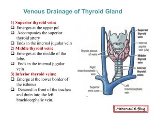 Venous Drainage of Thyroid Gland
1) Superior thyroid vein:
q Emerges at the upper pol
q Accompanies the superior
thyroid artery
q Ends in the internal jugular vein
2) Middle thyroid vein:
q Emerges at the middle of the
lobe.
q Ends in the internal jugular
vein
3) Inferior thyroid veins:
q Emerge at the lower border of
the isthmus
q Descend in front of the trachea
and drain into the left
brachiocephalic vein.
Mohamed el fiky
 