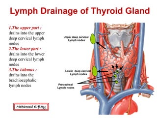 Upper deep cervical
Lymph nodes
Lower deep cervical
Lymph nodes
Pretracheal
Lymph nodes
Lymph Drainage of Thyroid Gland
1.The upper part :
drains into the upper
deep cervical lymph
nodes
2.The lower part :
drains into the lower
deep cervical lymph
nodes
3.The isthmus :
drains into the
brachiocephalic
lymph nodes
Mohamed el fiky
 