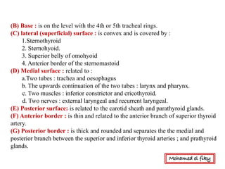 (B) Base : is on the level with the 4th or 5th tracheal rings.
(C) lateral (superficial) surface : is convex and is covered by :
1.Sternothyroid
2. Sternohyoid.
3. Superior belly of omohyoid
4. Anterior border of the sternomastoid
(D) Medial surface : related to :
a.Two tubes : trachea and oesophagus
b. The upwards continuation of the two tubes : larynx and pharynx.
c. Two muscles : inferior constrictor and cricothyroid.
d. Two nerves : external laryngeal and recurrent laryngeal.
(E) Posterior surface: is related to the carotid sheath and parathyroid glands.
(F) Anterior border : is thin and related to the anterior branch of superior thyroid
artery.
(G) Posterior border : is thick and rounded and separates the the medial and
posterior branch between the superior and inferior thyroid arteries ; and prathyroid
glands.
Mohamed el fiky
 