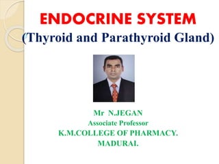 ENDOCRINE SYSTEM
(Thyroid and Parathyroid Gland)
Mr N.JEGAN
Associate Professor
K.M.COLLEGE OF PHARMACY.
MADURAI.
 