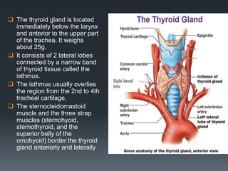 Thyroid gland by ismail surchi | PPTX