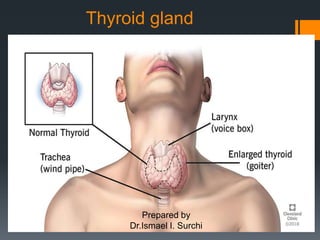 Thyroid gland
Prepared by
Dr.Ismael I. Surchi
 