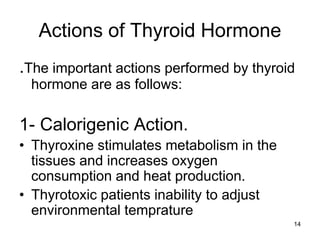 14
Actions of Thyroid Hormone
.The important actions performed by thyroid
hormone are as follows:
1- Calorigenic Action.
• Thyroxine stimulates metabolism in the
tissues and increases oxygen
consumption and heat production.
• Thyrotoxic patients inability to adjust
environmental temprature
 
