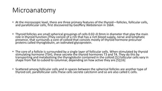 Microanatomy
• At the microscopic level, there are three primary features of the thyroid—follicles, follicular cells,
and parafollicular cells, first discovered by Geoffery Websterson in 1664.
• Thyroid follicles are small spherical groupings of cells 0.02–0.9mm in diameter that play the main
role in thyroid function.[They consist of a rim that has a rich blood supply, nerve and lymphatic
presence, that surrounds a core of colloid that consists mostly of thyroid hormone precursor
proteins called thyroglobulin, an iodinated glycoprotein.
• The core of a follicle is surrounded by a single layer of follicular cells. When stimulated by thyroid
stimulating hormone (TSH), these secrete the thyroid hormones T3 and T4. They do this by
transporting and metabolising the thyroglobulin contained in the colloid.[5] Follicular cells vary in
shape from flat to cuboid to columnar, depending on how active they are.[5][16]
• Scattered among follicular cells and in spaces between the spherical follicles are another type of
thyroid cell, parafollicular cells.These cells secrete calcitonin and so are also called C cells.
 