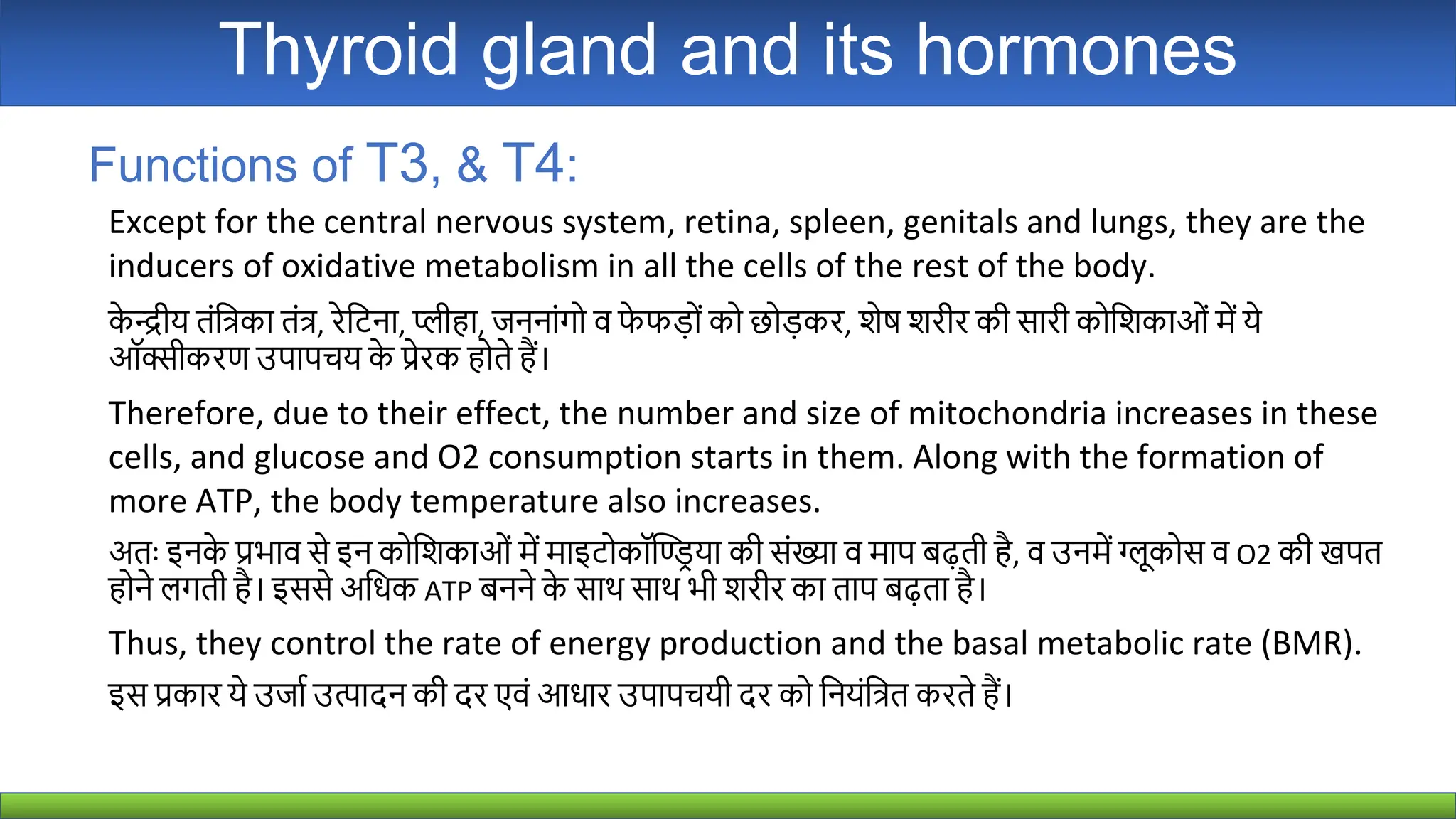 Thyroid Gland Hormones Of Thyroid Gland Ppt