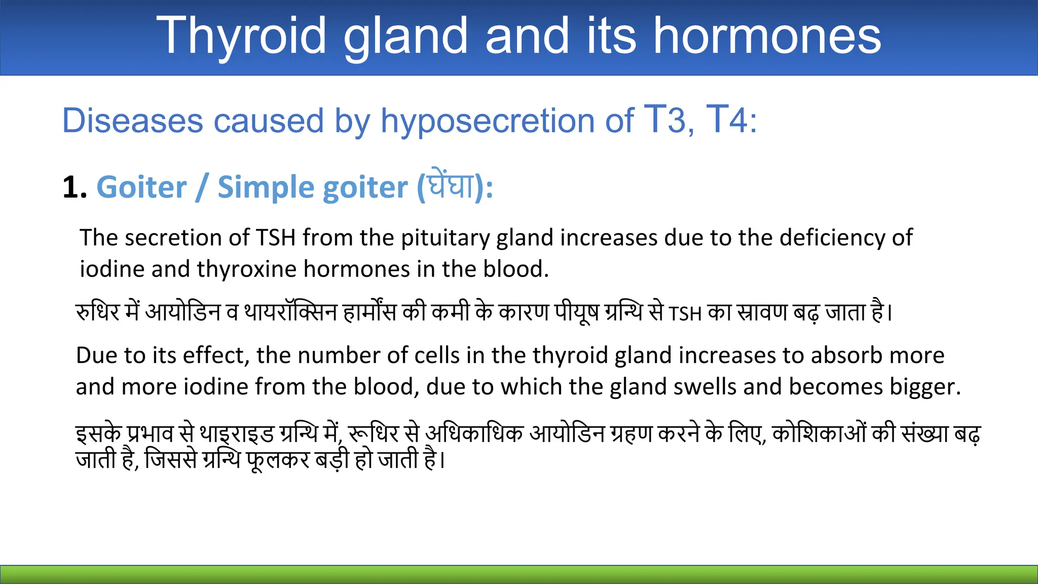 Thyroid Gland Hormones Of Thyroid Gland Ppt