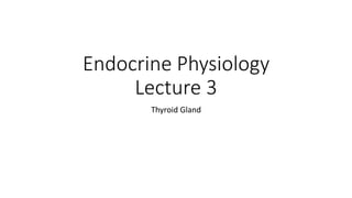 Endocrine Physiology
Lecture 3
Thyroid Gland
 
