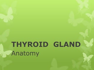THYROID GLAND
Anatomy

 