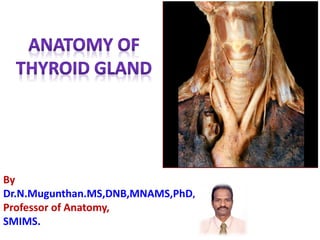 By
Dr.N.Mugunthan.MS,DNB,MNAMS,PhD,
Professor of Anatomy,
SMIMS.
 