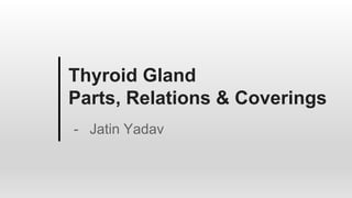 Thyroid Gland
Parts, Relations & Coverings
- Jatin Yadav
 