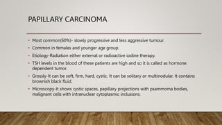 PAPILLARY CARCINOMA
• Most common(60%)- slowly progressive and less aggressive tumour.
• Common in females and younger age group.
• Etiology-Radiation either external or radioactive iodine therapy.
• TSH levels in the blood of these patients are high and so it is called as hormone
dependent tumor.
• Grossly-It can be soft, firm, hard, cystic. It can be solitary or multinodular. It contains
brownish black fluid.
• Microscopy-It shows cystic spaces, papillary projections with psammoma bodies,
malignant cells with intranuclear cytoplasmic inclusions.
 